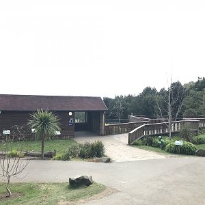 Giant anteater indoors and viewing area