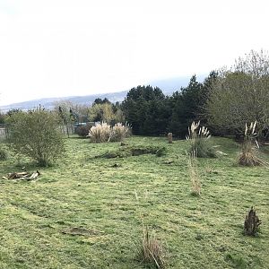 Giant anteater enclosure