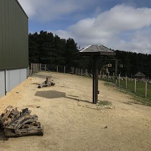 Giraffe enclosure