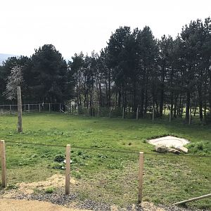Giraffe enclosure (2)