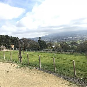 Giraffe enclosure (3)