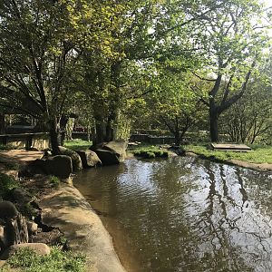 Asian short clawed otter enclosure (2)
