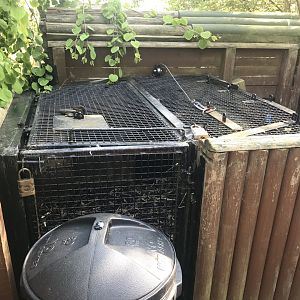 Asian short clawed otter holding area