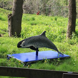 Vaquita - Lego Ocean Bricks Event