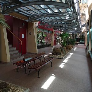 Cat House Interior (04/22)