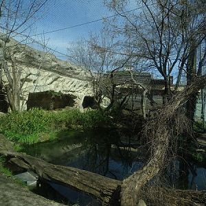 Cat House: Malayan tiger Enclosure (04/22)