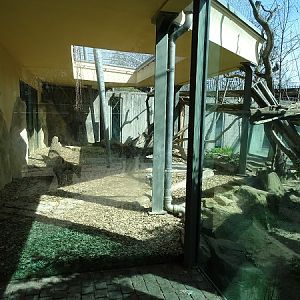 Cat House: Sumatran tiger Enclosure (04/22)