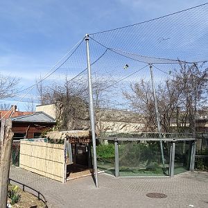 Cat House: Malayan tiger Enclosure (04/22)