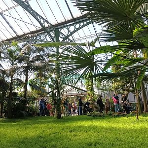 Inside the Palm Greenhouse