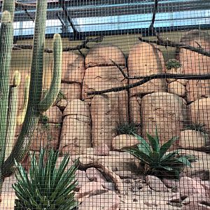 New 2022 small Mammal and Bird House Greater Roadrunner Aviary