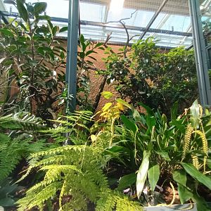 New 2022 small Mammal and Bird House Fruit Dove and King Bird of Paradise Aviary