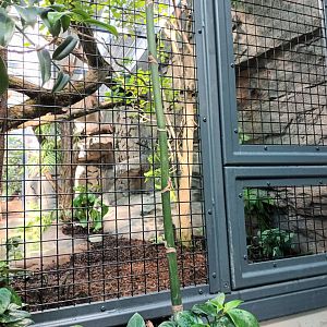 New 2022 small Mammal and Bird House Brown haired Armadillo and southern Tamandua Enclosure