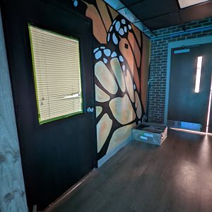 New butterfly mural
