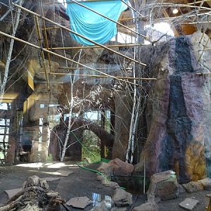 Squirrel monkey house, part of interior (04/22)