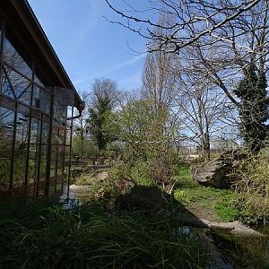 Squirrel monkey house, outdoor island (04/22)