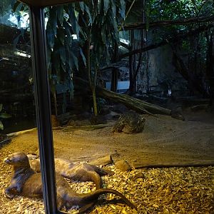 Crocodile House; giant otter enclosure (04/22)
