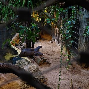Crocodile House; giant otter enclosure (04/22)