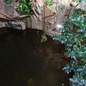 Crocodile House; giant otter enclosure (04/22)
