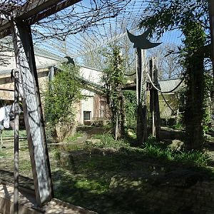 Chimpanzee outdoor enclosure (04/22)
