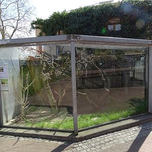 Chimpanzee House; cottontop tamarin and Brazilian porcupine enclosure (04/22)