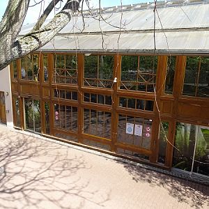 Chimpanzee house (04/22)