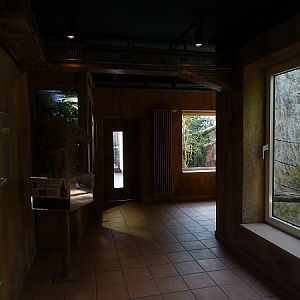 Rainforest House Interior (04/22)