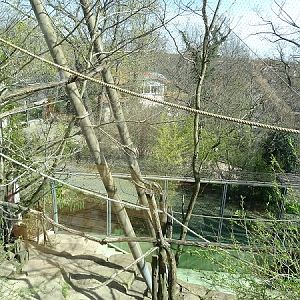 Enclosure for moloch gibbons and pygmy hippos (04/22)