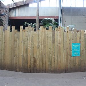 Construction work, Tropical House 19th April 2022