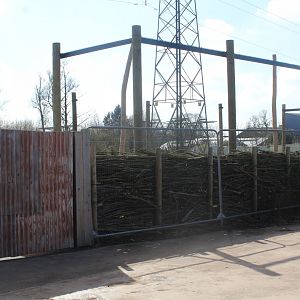 Building the Peafowl Aviary, Chester Zoo 18th March 2022