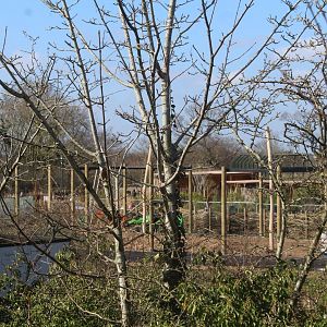 Construction of Peafowl Aviary, 18th March 2022