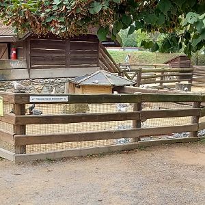Enclosures Children Zoo