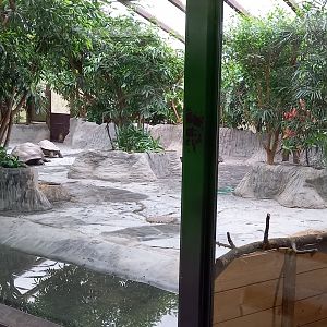 Giant tortoise indoor enclosure