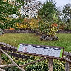 Out-door enclosure Giant tortoise