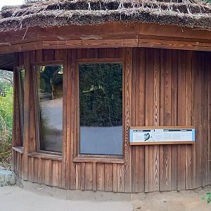 Indoor-enclosure Ruffed lemur