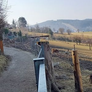 Path along Deer enclosure