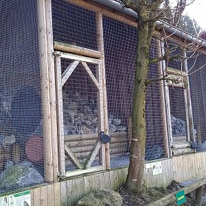 Owl-aviaries