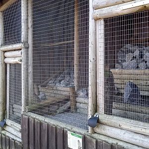 More Owl-aviaries