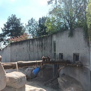 African Mountains Enclosure