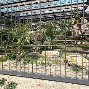 Jaguar Enclosure