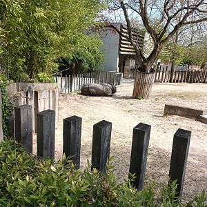 Indian Rhinoceros Enclosure