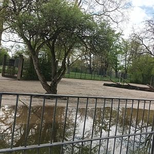 Somali wild Ass Enclosure