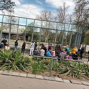 Giraffe and Kudu Viewing Area
