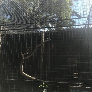 Blue & Gold Macaw Cage