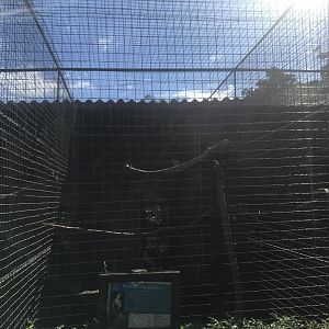 Major Mitchell’s Cockatoo Cage