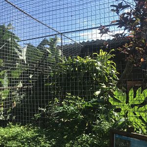 Green-Winger Macaw Cage