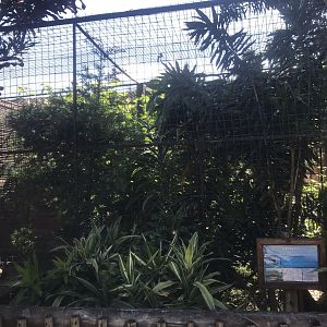 Cape Parrot Cage