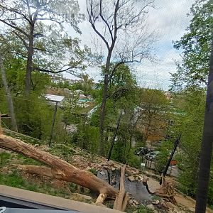 Snow Leopard Enclosure
