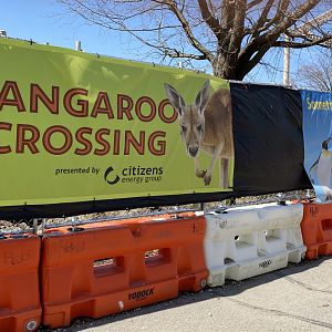 Apr. 2022 - Kangaroo Crossing Construction (May 2022)