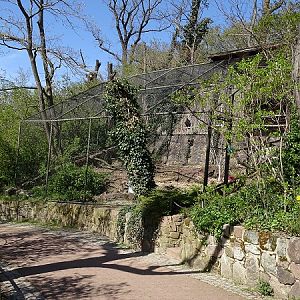 Northern bald ibis enclosure (04/22)