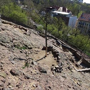 West-Caucasian tur enclosure (04/22)